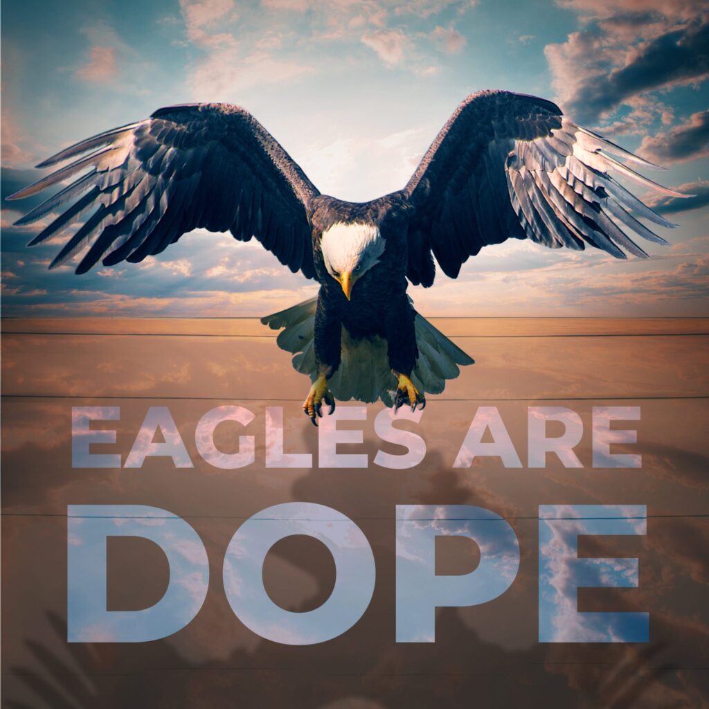 Photo composite showing a dramatic eagle landing on the text "Eagles are Dope".