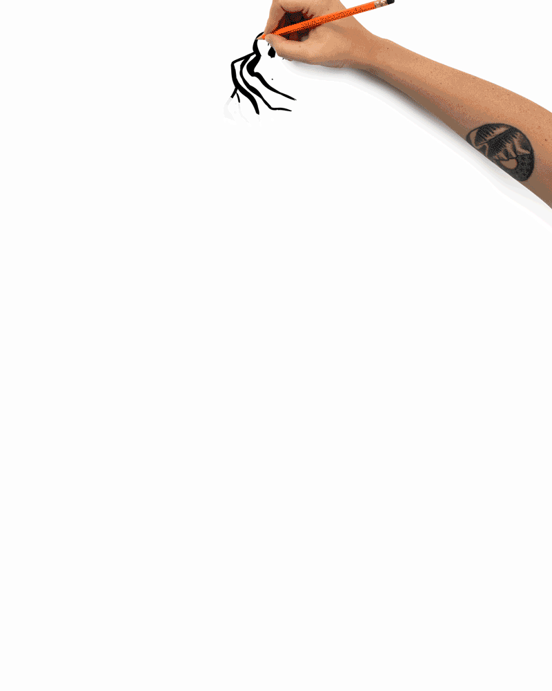 Fancy Tiger Illustration gif of a hand drawing a tiger playing with a ball of yarn.