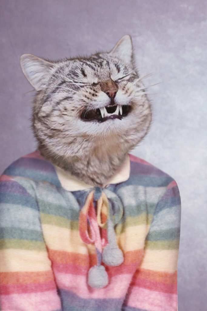 Composite retouching showing a smiling cat's face on a vintage school portrait in a rainbow striped sweater.