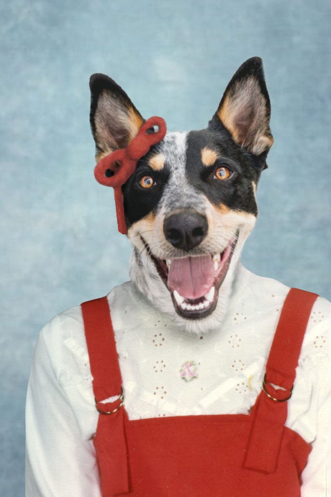 Composite retouching showing a dog's face on a vintage school portrait of a red jumper and red bow on blue background.