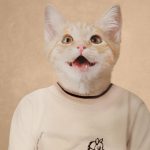 Composite retouching showing a cat's face on a vintage school portrait with a cream sweater with an embroidered horse and cream background.