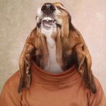 Composite retouching showing a dog's face on a vintage school portrait with a burnt orange turtleneck on a tan background.