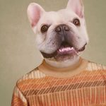 Composite retouching showing a bulldog's face on a vintage school portrait in an orange striped sweater and green background.