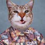Composite retouching showing a cat's face on a vintage school portrait in a checkered patterned button down shirt with white collar on blue background.