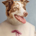 Composite retouching showing a dog's face on a vintage school portrait in floral white dress with wide white collar and pink bow.