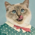 Composite retouching showing a cat's face with big blue eyes and tongue licking nose, on a vintage school portrait with green dress and small white flowers and white collar with red bow.