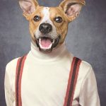 Composite retouching showing a dog's face on a vintage school portrait with white turtleneck and red suspenders.