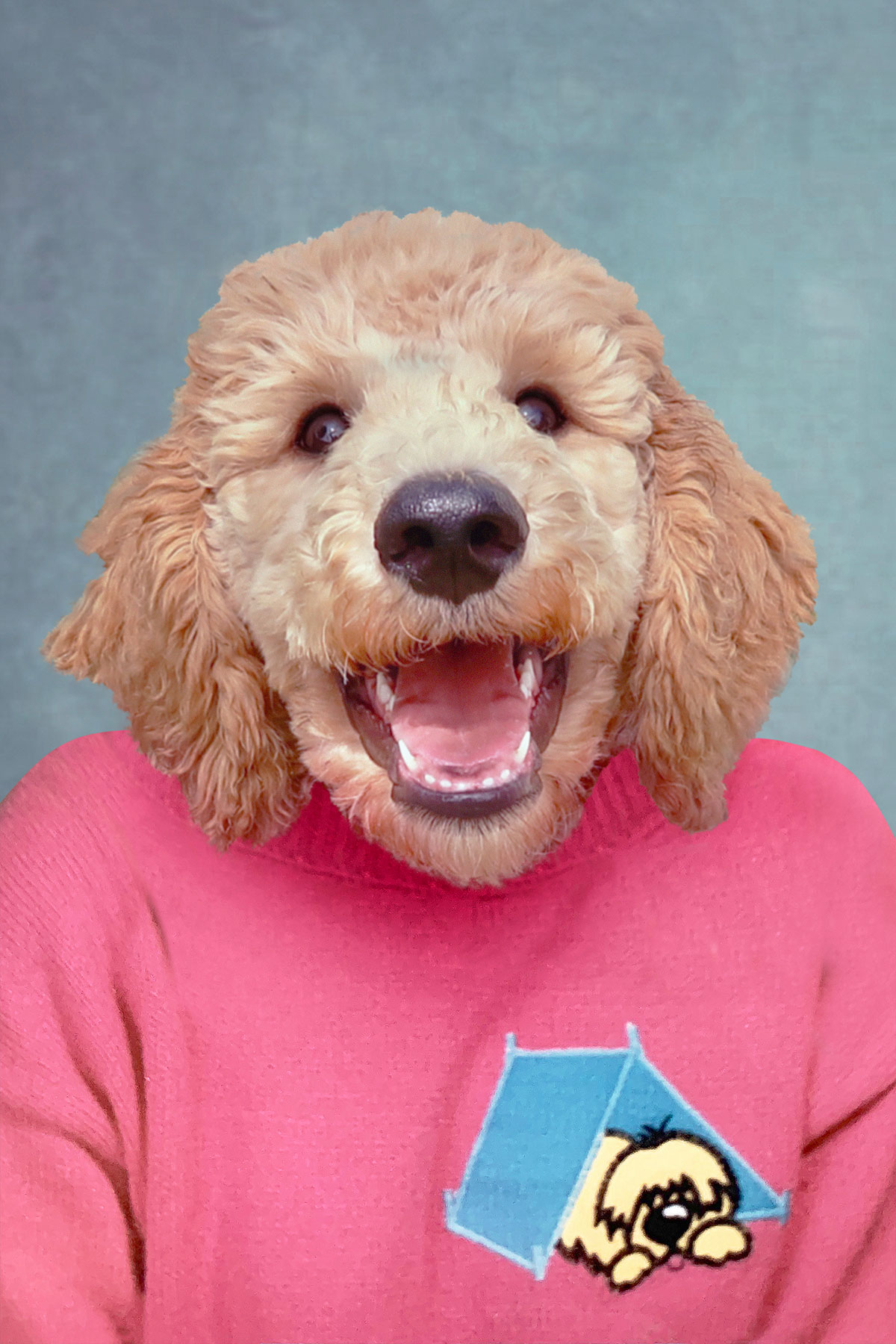 Composite retouching for a dog smiling
