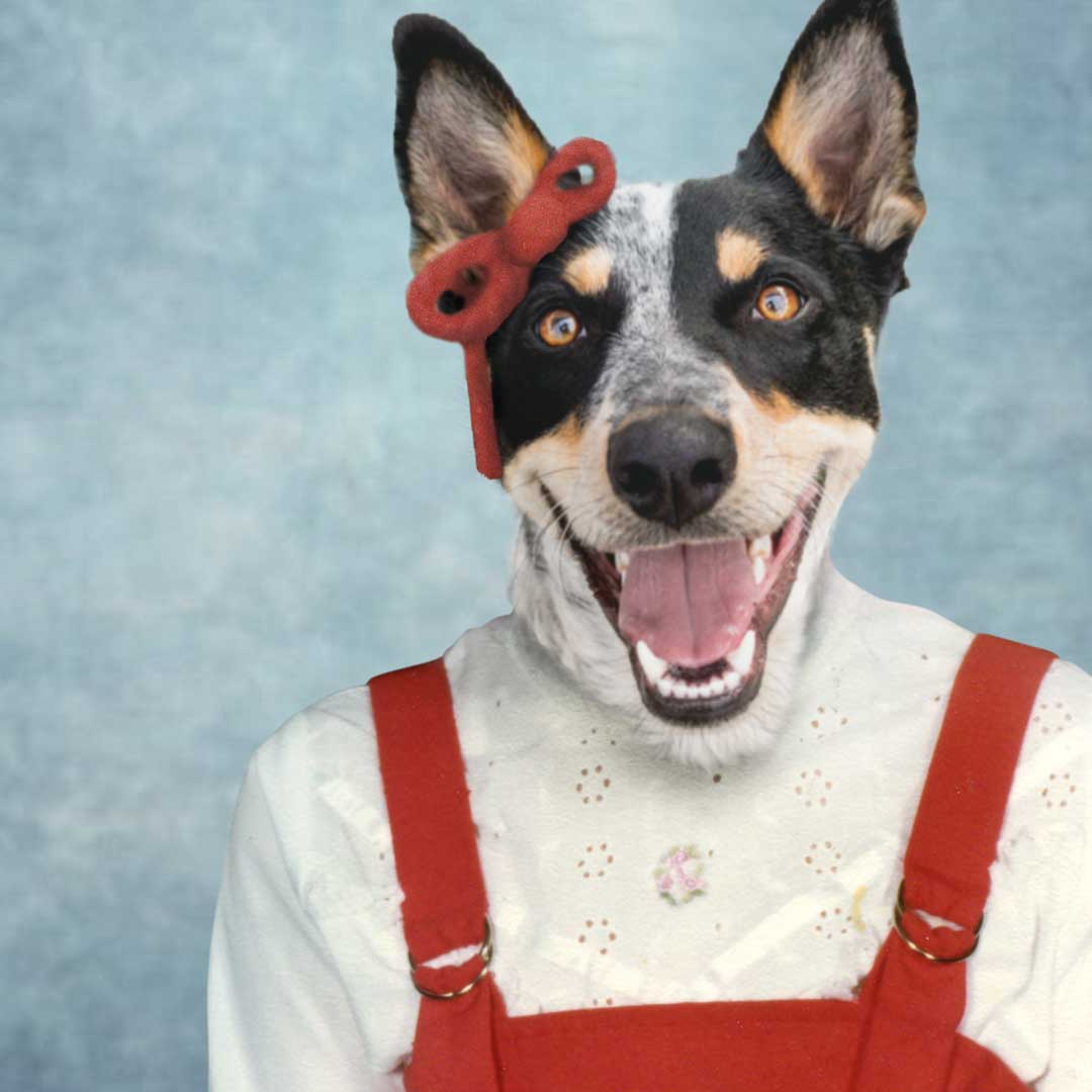 Composite headshot of dog head on school portrait, with red jumper and red bow.