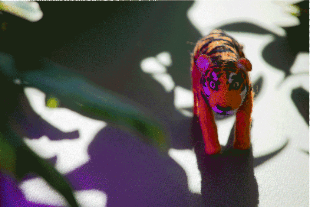 Stop motion of needle felted tiger craft with colors changing.