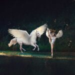 High end composite of a Ballet dancer in a forest dancing with a pegasus.