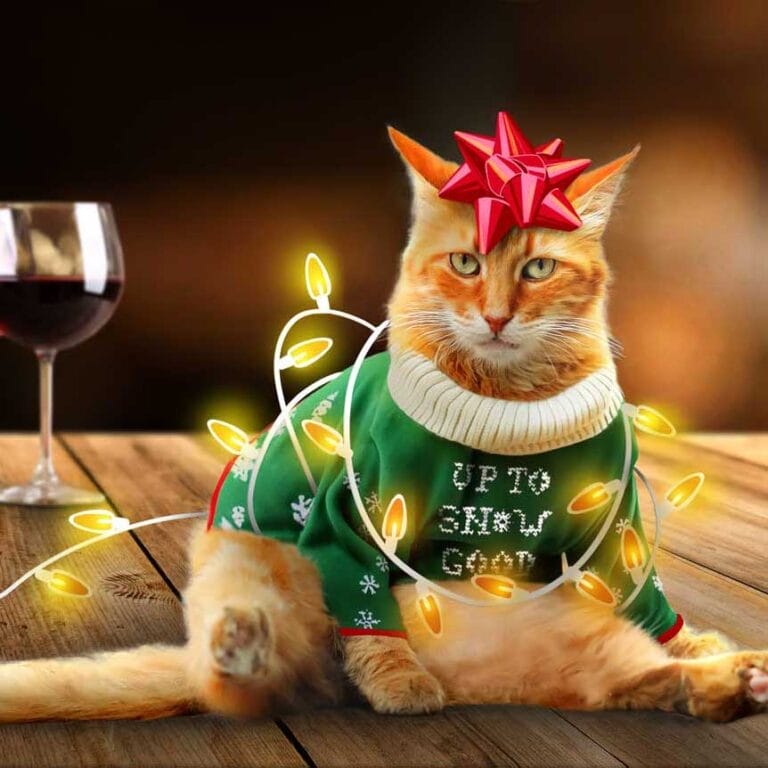 Photo composite of a cat dressed in a Christmas sweater with a red bow, some of which was created using AI.