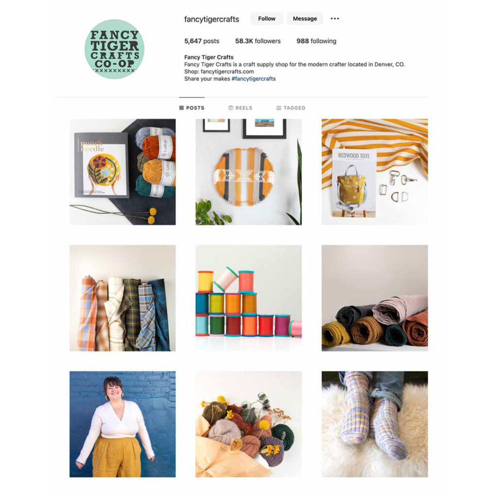 Fancy Tiger Instagram Mockup Grid showing a variety of products and people imagery.