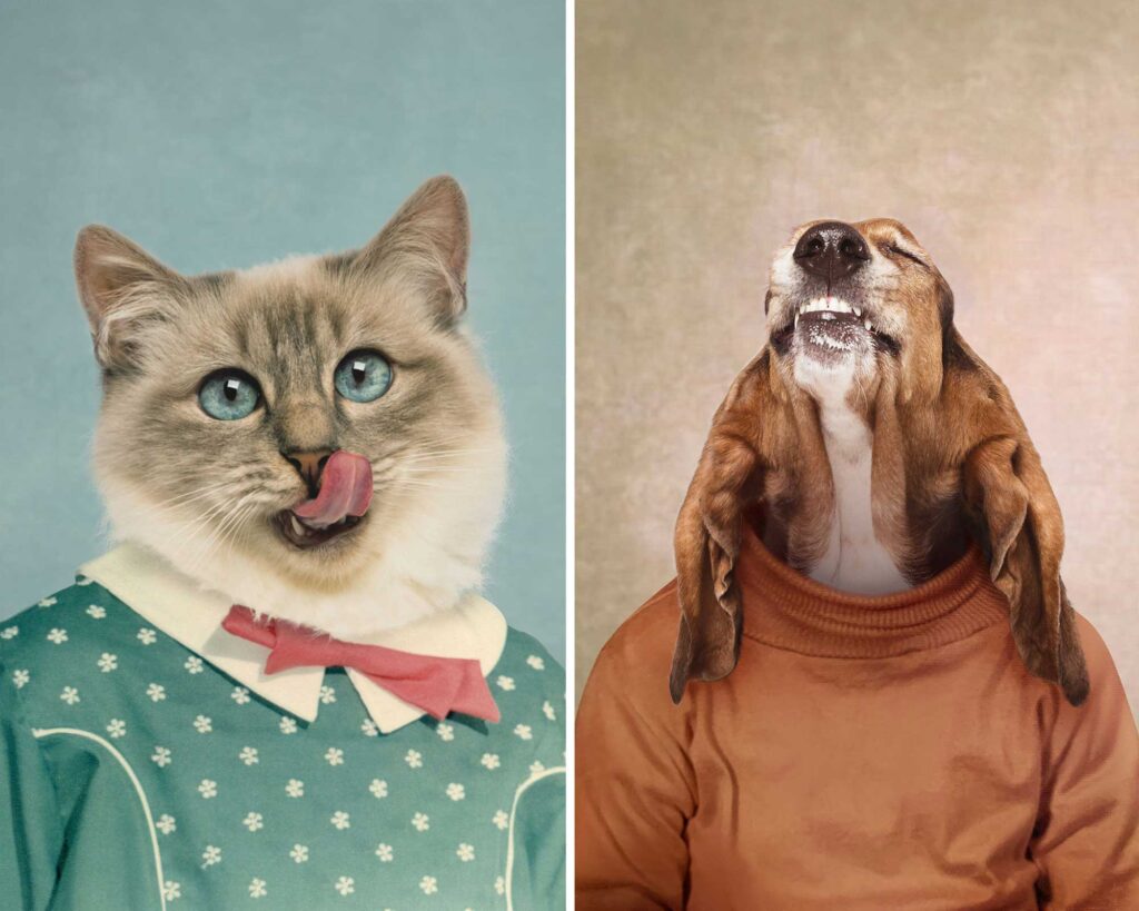 composite-retouching-animals-pets-funny-portraits-retro-pearly-bites_2 up