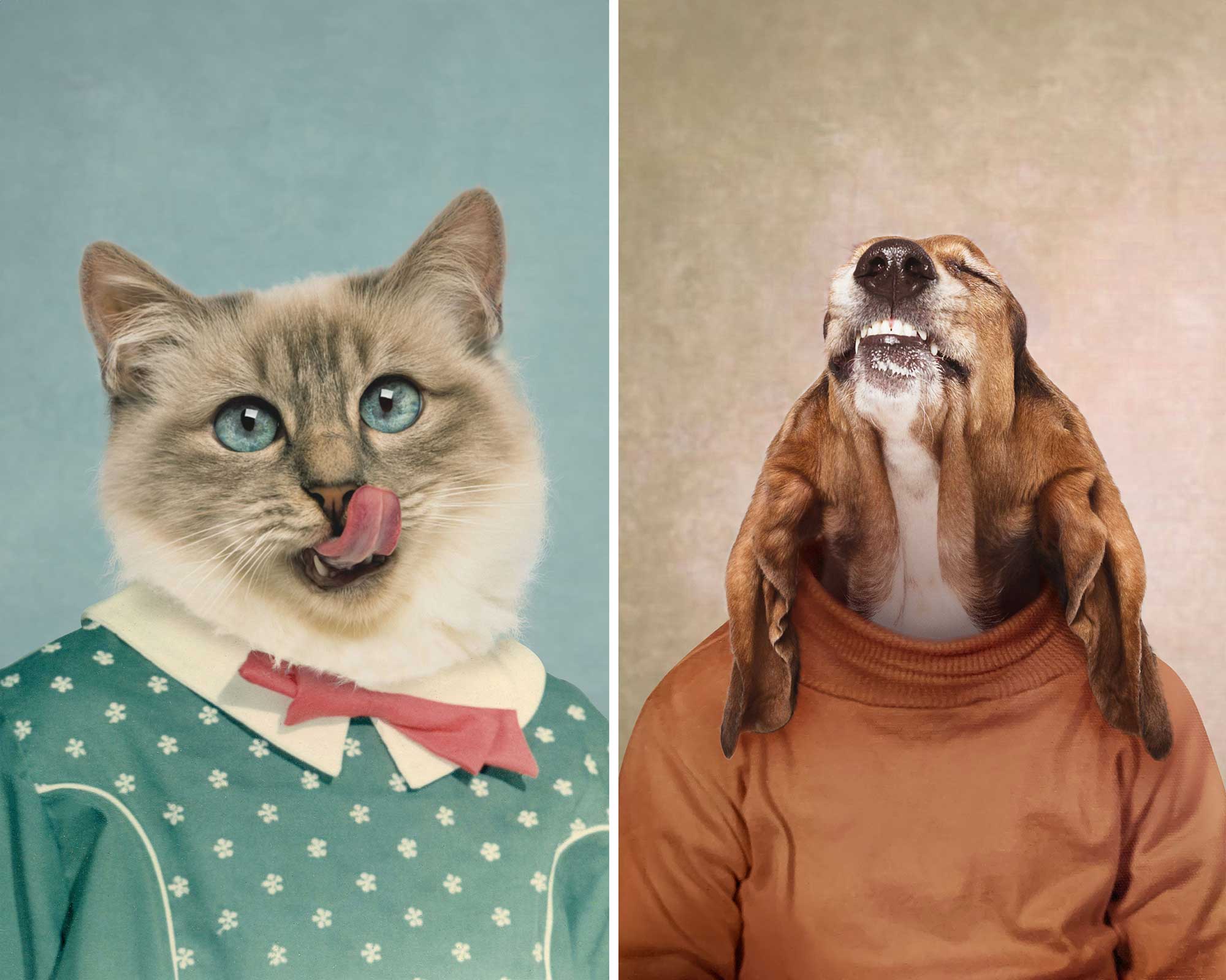 Composite retouching showing a cat and a dog's faces on vintage school portraits.