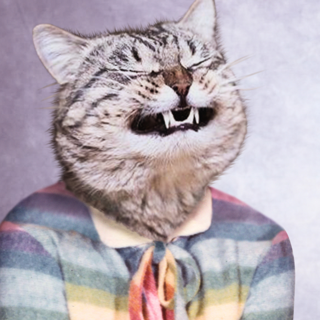 Composite retouching showing a smiling cat's face on a vintage school portrait in a rainbow striped sweater.