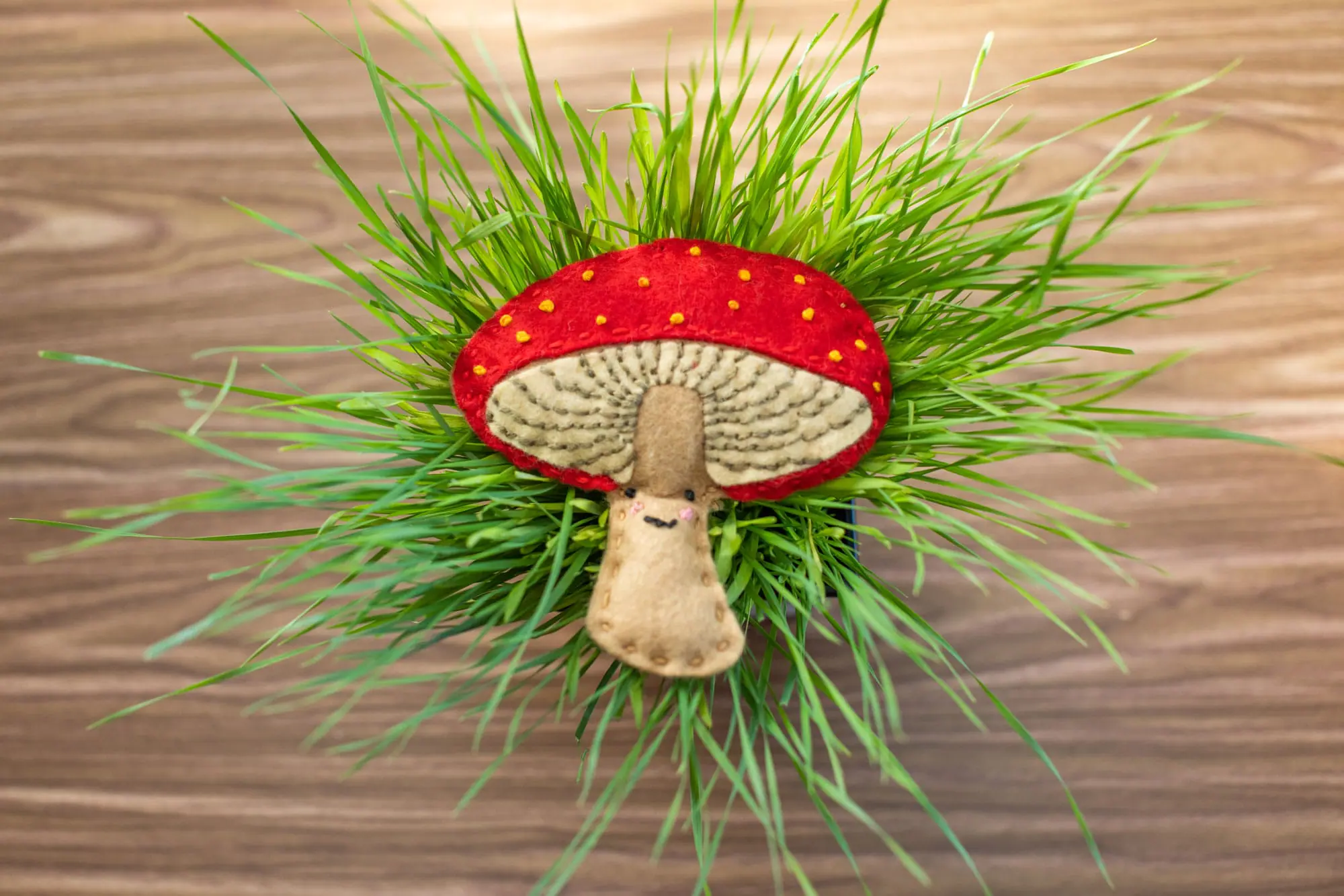 Felt kit of mushroom laying on grass background