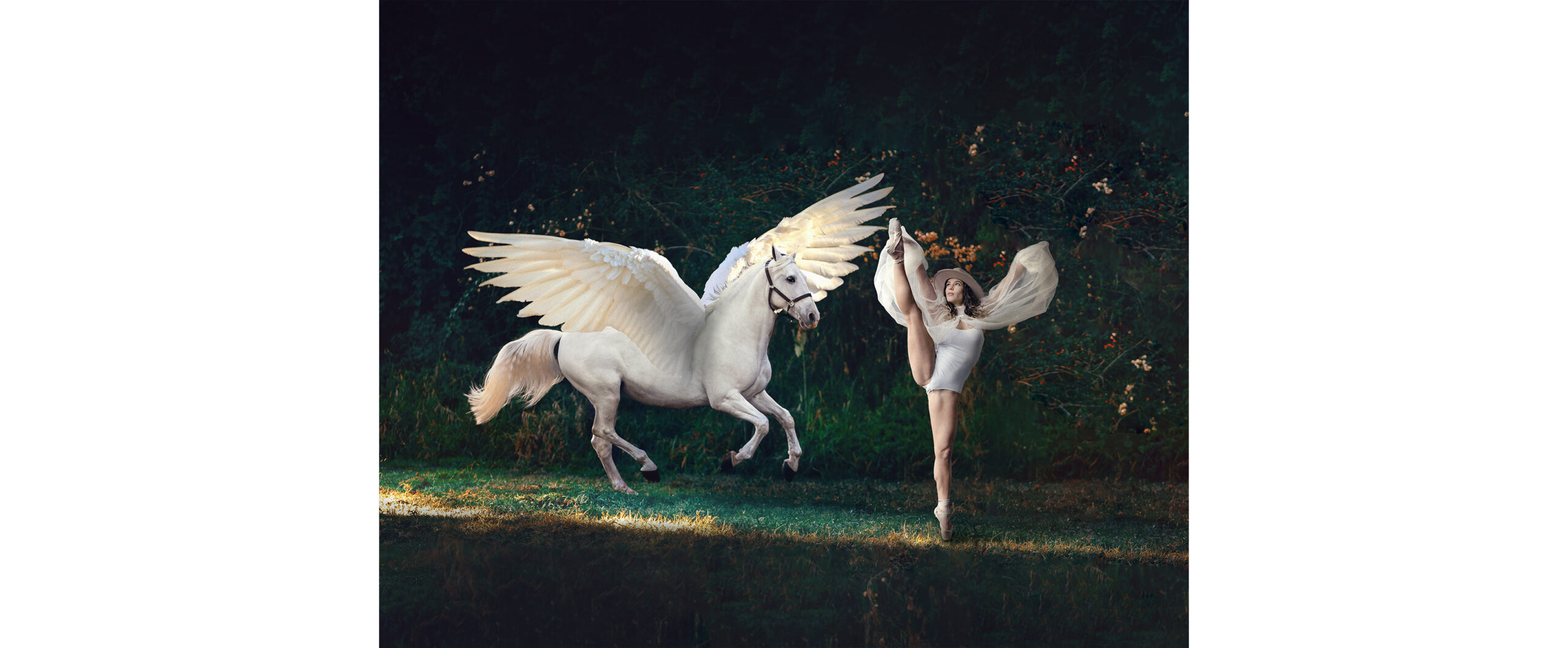 Mythical Dance Partner photo composite ballet with a pegasus