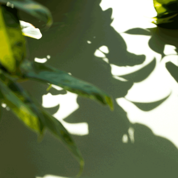stop motion graphic of needle felted Tiger wandering through plant life