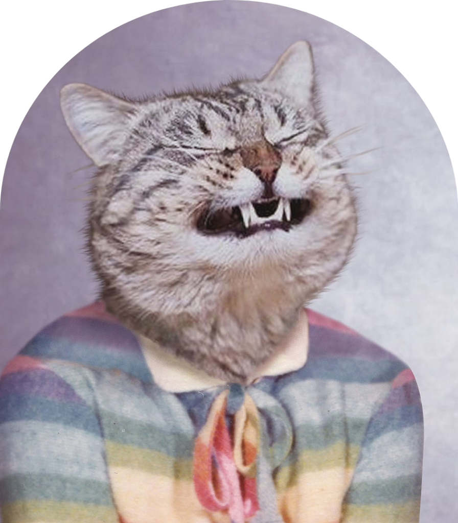 Vivid photo of a person with a fierce cat face mask, blending art, creativity, and feline-inspired design at Andrews Artistry.