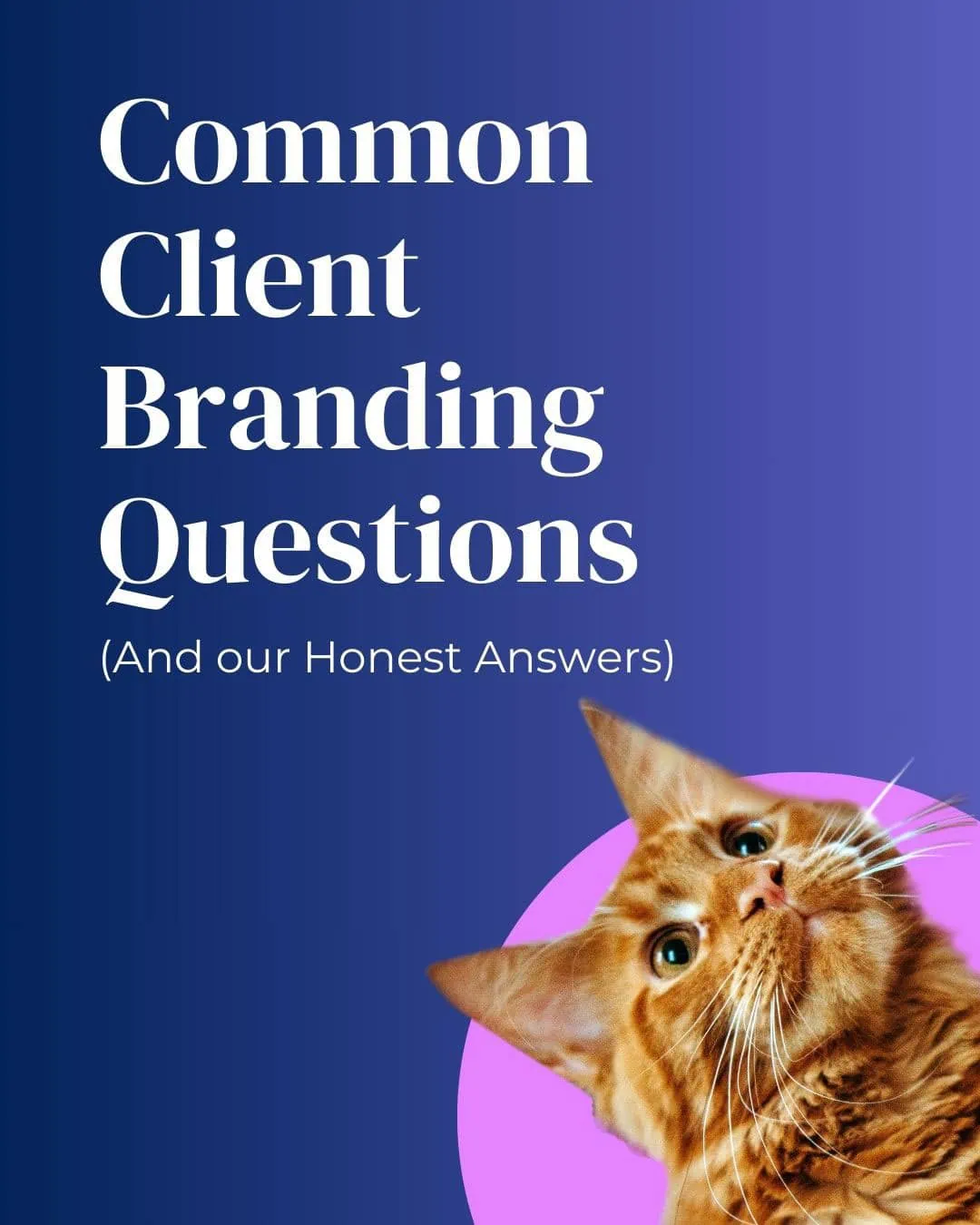 Common client branding questions and honest answers graphic for small businesses